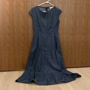 Weekend MaxMara Occhio Denim Maxi Dress